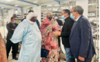 La ministre du commerce et son homologue malien visitent les sociétés Ciment Mauritanie et la Mauritanienne des Fibres Optiques