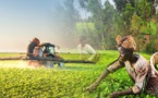L’agro-industrie et l’industrie pharmaceutique entrent dans les priorités du gouvernement (Le ministre des Affaires économiques)
