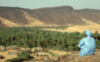 Ministre de l'Agriculture : Nous assurerons l'irrigation pour plus de 150 mille palmiers dans les anciennes oasis de l'Adrar