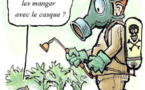 Le ministère de l’Agriculture réceptionne des quantités d’engrais couvrant les besoins de la campagne agricole 2022-2023