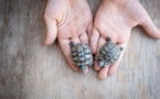 Sénégal/Mauritanie : retour à quai du FPSO Tortue après sa dérive causée par un cyclone