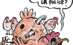 La protection des consommateurs confisque 10.2 tonnes de poulet congelé