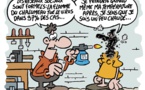La HAPA organise une formation sur les fausses informations dans les médias