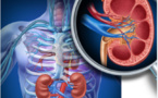 Ouverture du 8e congrès maghrébin de chirurgie rénale et d’urologique