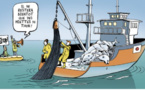 La «politique commune de la pêche demain» va-t-elle soutenir la pêche artisanale durable en Afrique?