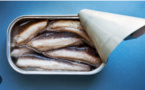 Néma : Lancement de la composante « distribution de poisson » au profit des groupes vulnérables dans le cadre des opérations du Ramadan