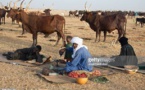 Formation d’opérateurs de la filière commercialisation du bétail dans le Sahel