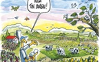 Memma Beibatta (ministre de l’Agriculture) en quête d’ingénieurs et techniciens