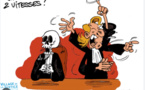 La cacophonie des avocats de la partie civile : Un concert désaccordé à la Cour Criminelle