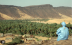 La ‘’Guetna’’ en Adrar : une saison récréative dont certains acteurs tirent largement profit