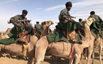 THEMIIS : « Les chameaux en Mauritanie, un outil de collecte d’informations de renseignement » THEMIIS : « Les chameaux en Mauritanie, un outil de collecte d’informations de renseignement »