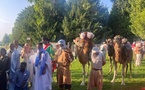 Participation de l’ONT au Festival International des Cultures Sahariennes en France