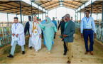 Le Président de la République visite la ferme moderne intégrée de production laitière et de culture fourragère à El Behga