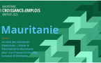 Diversifier l’économie : un levier clé pour une croissance durable en Mauritanie