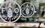 Nouakchott va accueillir la conférence régionale de la FAO en avril prochain