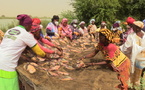 Le ProSSALM bâtit la résilience des communautés en Mauritanie