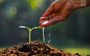 Nouakchott: Reboisement de la trajectoire conduisant de l’aéroport international Oumtounsy