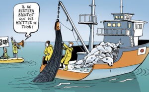 Accord de pêche: l'UE annonce avoir réglé la 1ère tranche à la Mauritanie