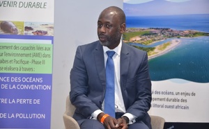 Secrétariat exécutif de l’agence panafricaine de la grande muraille verte : Abdoulaye Diagana candidat