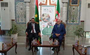 Le ministre de la Culture s’entretient avec le directeur général de l’AICA