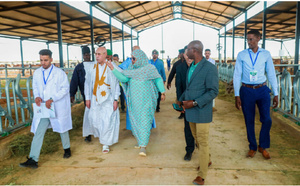 Le Président de la République visite la ferme moderne intégrée de production laitière et de culture fourragère à El Behga