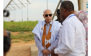 Le Président de la République visite la ferme intégrée de fourrages verts à N’Beikit Lahouach