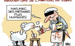 Ministre des Domaines: Nouakchott sera dotée d’un abattoir moderne doté d’une superficie de 15 hectares