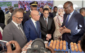 Le Président de la République supervise le lancement des programmes sociaux spéciaux du mois de Ramadan