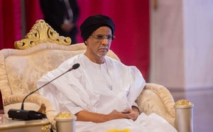 ONU : Mission difficile pour son excellence Cheikh Ould Nenni Ould Moulaye Zeine à New York