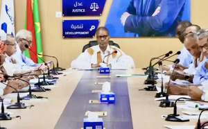 Le Parti au pouvoir Insaf approuve une nouvelle stratégie médiatique et réaffirme son soutien au processus de dialogue