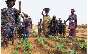 Un responsable allemand : l’agriculture représente 20 % de l’économie mauritanienne et la proximité de l’Europe constitue un avantage concurrentiel