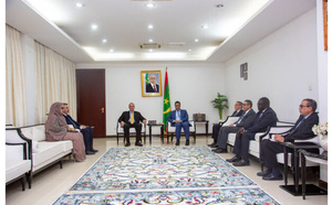 Le premier ministre reçoit une délégation du FMI