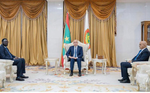 Le Président de la République reçoit l’envoyé spécial de l’Union africaine au Mali et au Sahel