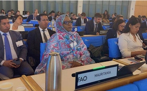 La Mauritanie participe à la 181e session du Conseil de la FAO à Rome