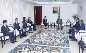 Le Premier ministre reçoit la directrice générale du département des affaires africaines du ministère japonais des Affaires étrangères