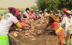 Le ProSSALM bâtit la résilience des communautés en Mauritanie