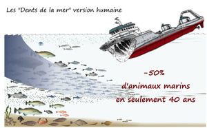 Une députée met en garde contre le recul des stocks de sardines dans les eaux territoriales mauritaniennes