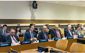 Le ministre des Affaires étrangères participe à la réunion consultative des ministres arabes des Affaires étrangères