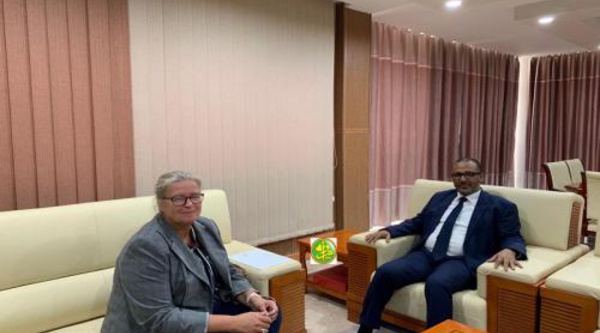 Le président de l'Union Nationale du Patronat Mauritanien reçoit la chargée d'Affaires de l'ambassade d'Allemagne