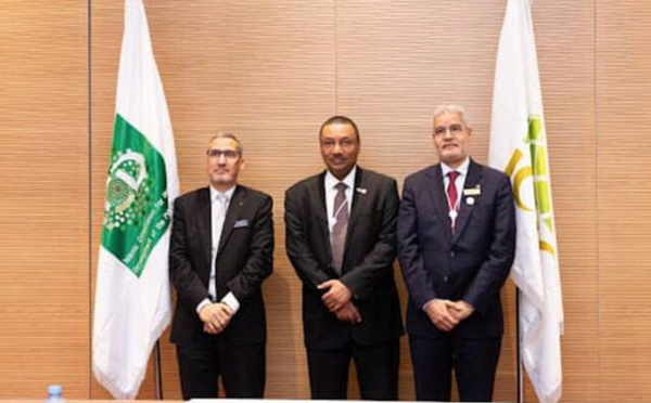 Discussion des domaines de coopération entre la Mauritanie et la Société d’assurance des investissements