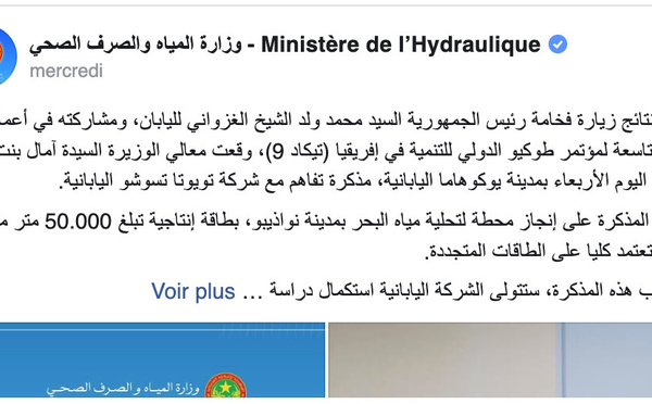 Mauritanie : Toyota Tsusho sur un projet de dessalement d'eau alimenté au renouvelable