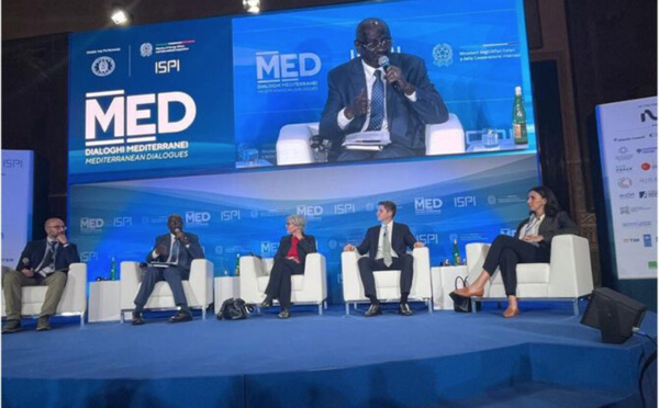 Le ministre des Affaires étrangères présente une analyse des menaces émergentes en Afrique du Nord, au Sahel et en Afrique de l’Ouest