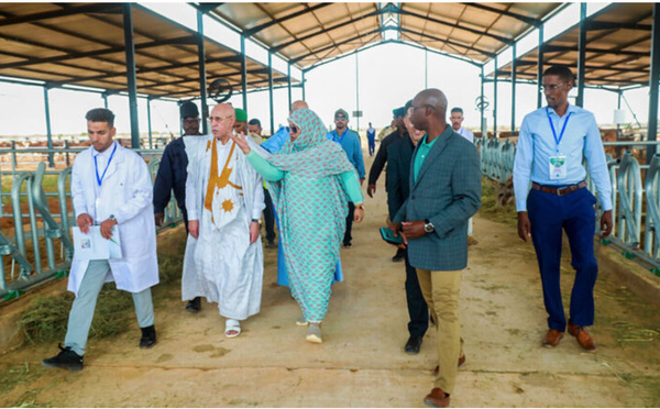 Le Président de la République visite la ferme moderne intégrée de production laitière et de culture fourragère à El Behga