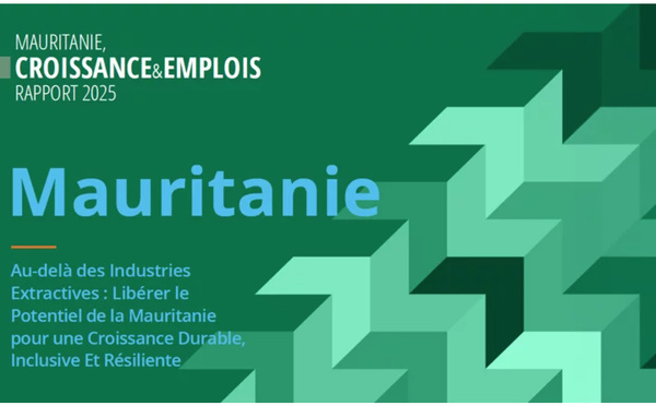 Diversifier l’économie : un levier clé pour une croissance durable en Mauritanie