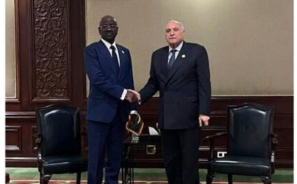 Le ministre des Affaires étrangères rencontre son homologue algérien