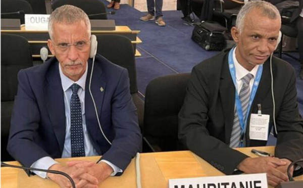 Le Commissaire aux droits de l’homme participe aux travaux de la 61ème session du Conseil des droits de l’homme