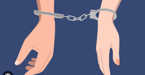 Le parquet révèle les circonstances de l’interpellation de deux députés après des faits qualifiés d’infractions pénalement répréhensibles