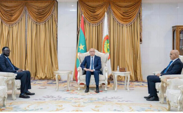 Le Président de la République reçoit l’envoyé spécial de l’Union africaine au Mali et au Sahel