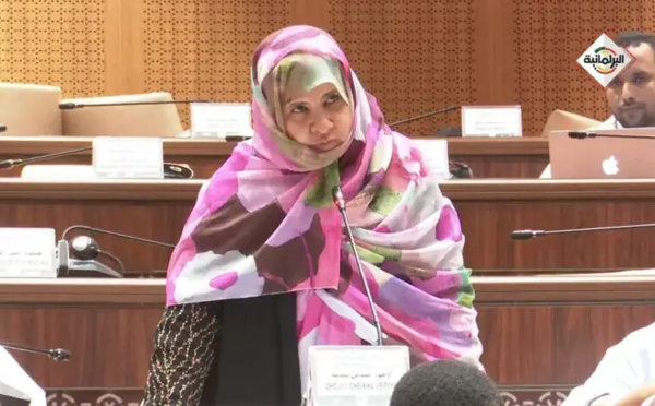 Une députée à propos du nouveau code des marchés publics : « la porte reste ouverte à tous les abus et tous les dysfonctionnements »