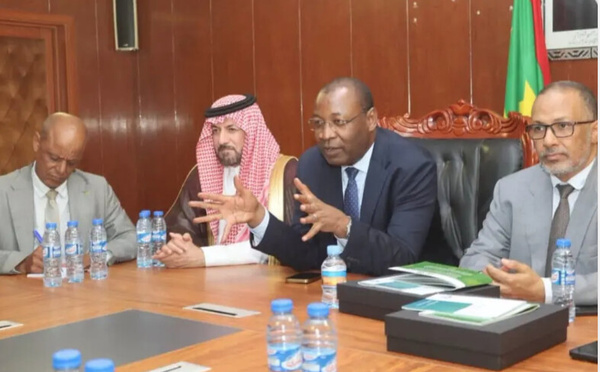La coopération mauritano-saoudienne dans le domaine de l’exportation du bétail évoquée à Nouakchott